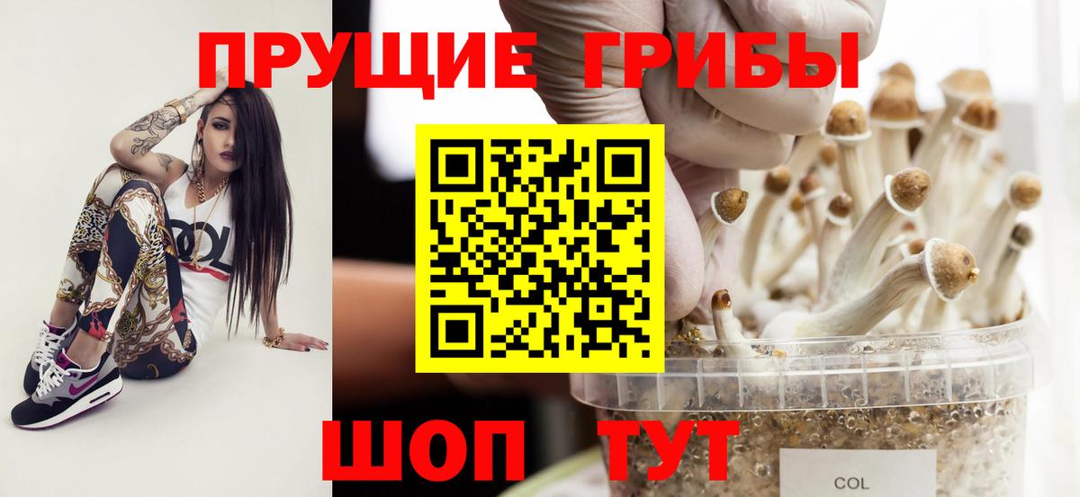 Псилоцибиновые грибы MAGIC MUSHROOMS  Псилоцибиновые грибы прущие грибы  цена   Касимов  Вход с VPN 
